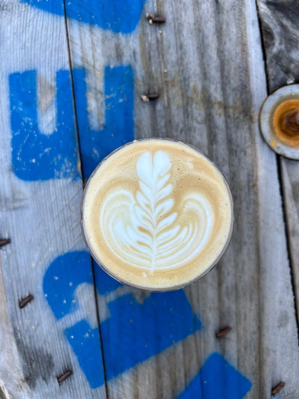 Latte art servi devant le food truck Blue Ring Octopus Coffee à Puyricard